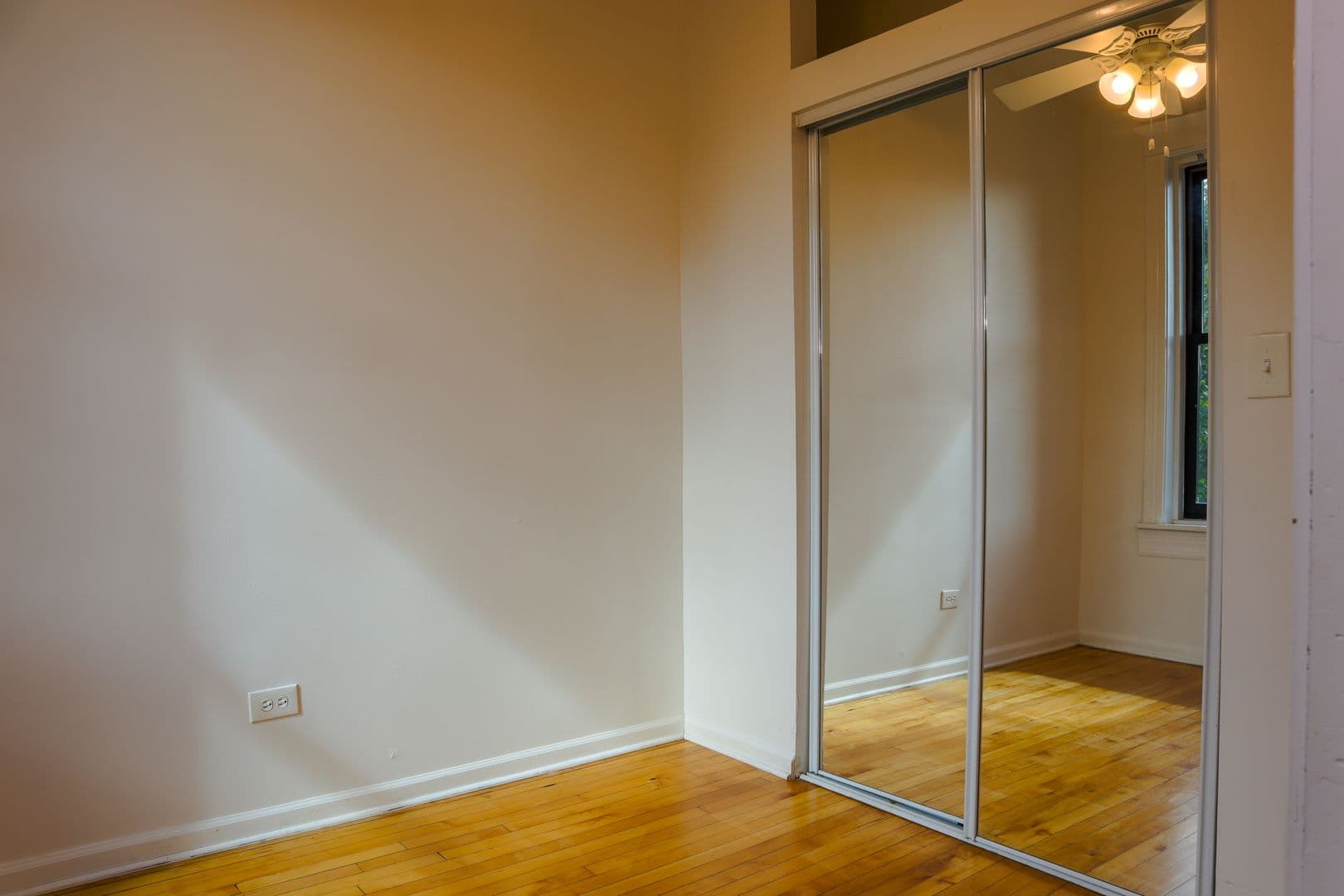 Chicago Apartment: 905 S Claremont