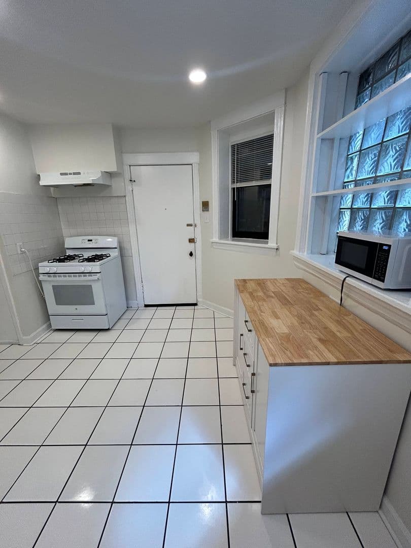 Chicago Apartment: 725 S Loomis Street