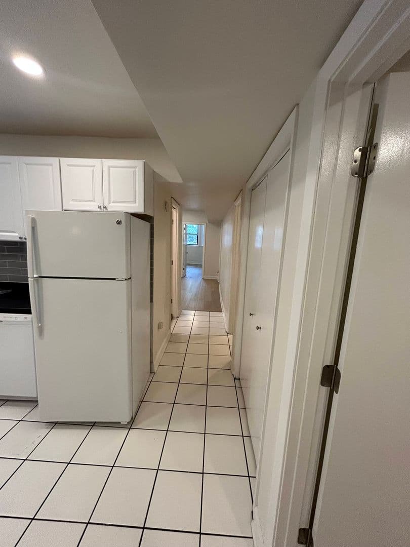 Chicago Apartment: 725 S Loomis Street