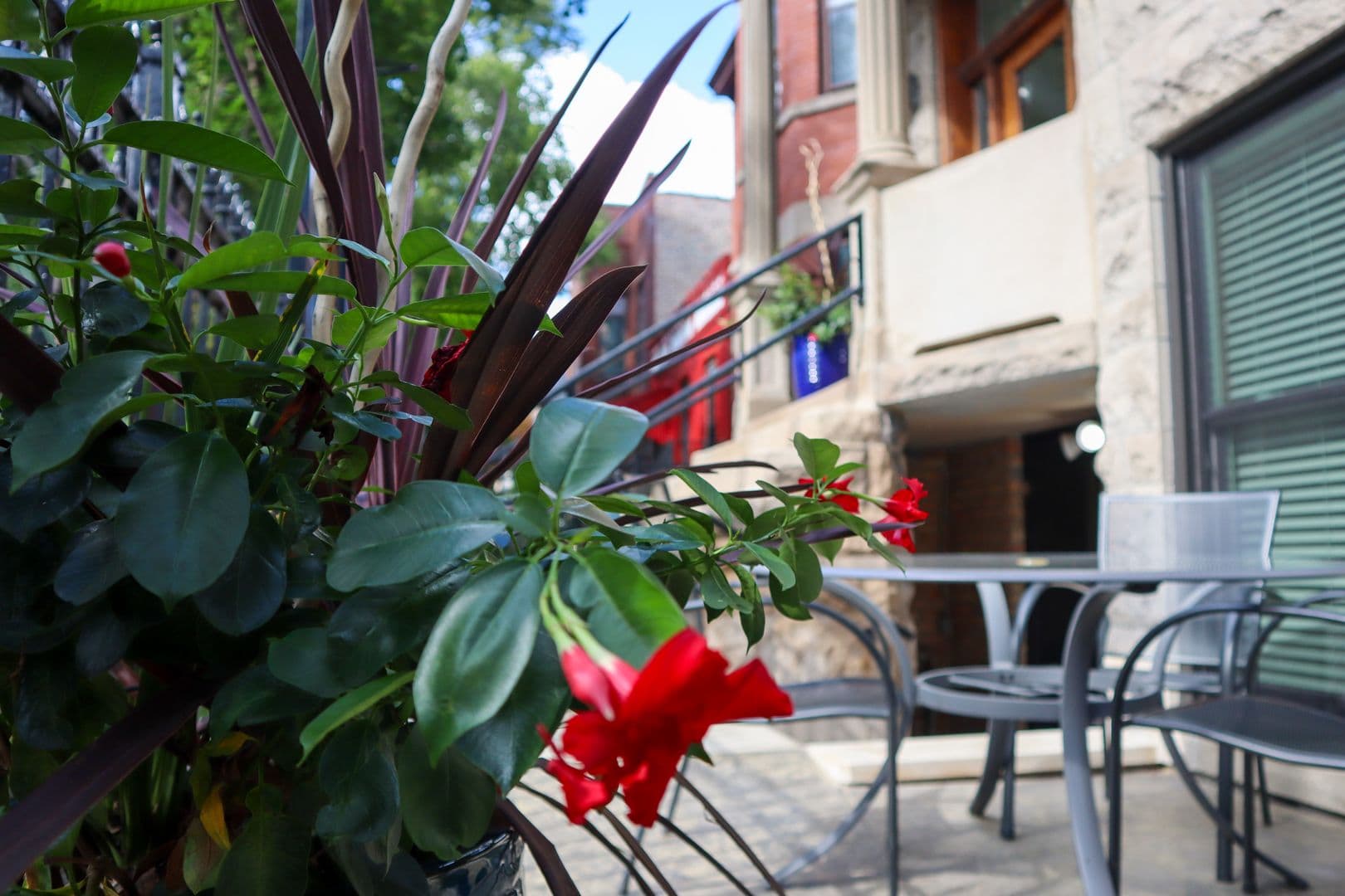 Chicago Apartment: 905 S Claremont