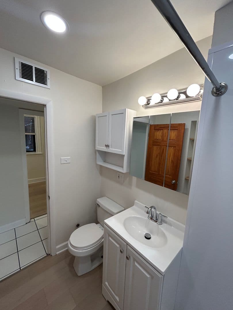 Chicago Apartment: 725 S Loomis Street