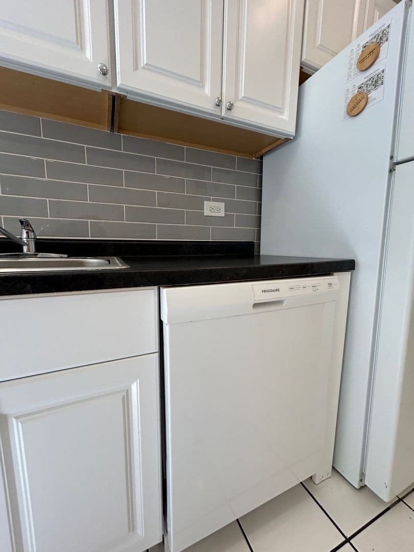 Chicago Apartment: 725 S Loomis Street