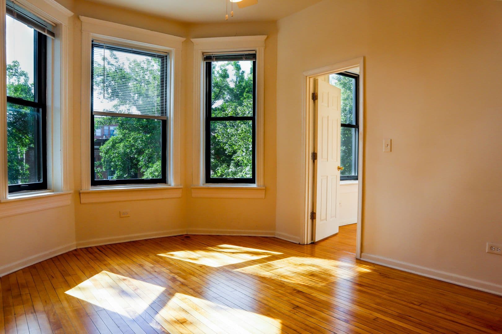 Chicago Apartment: 905 S Claremont