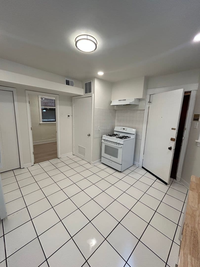 Chicago Apartment: 725 S Loomis Street