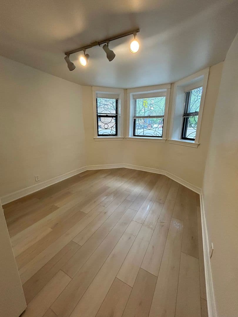 Chicago Apartment: 725 S Loomis Street