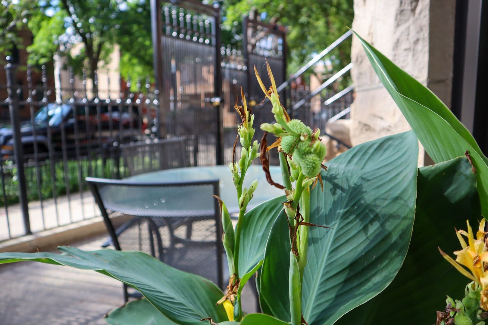 Chicago Apartment: 905 S Claremont