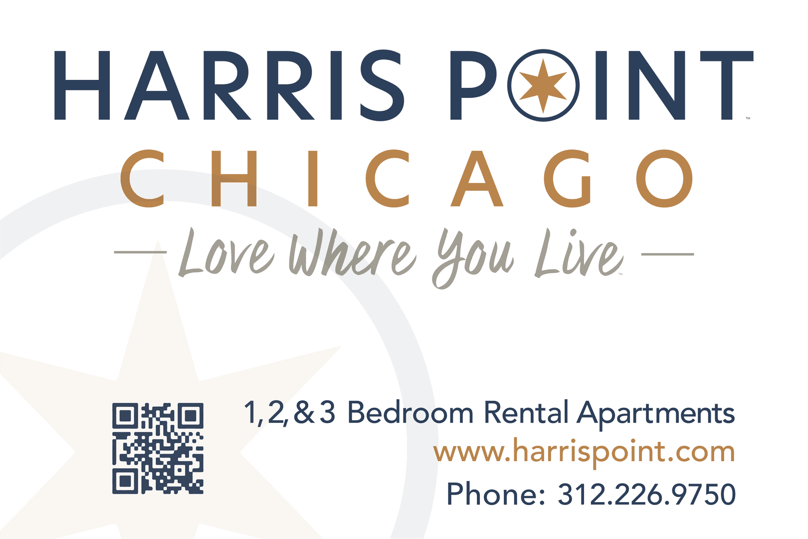 Chicago Apartment: 905 S Claremont