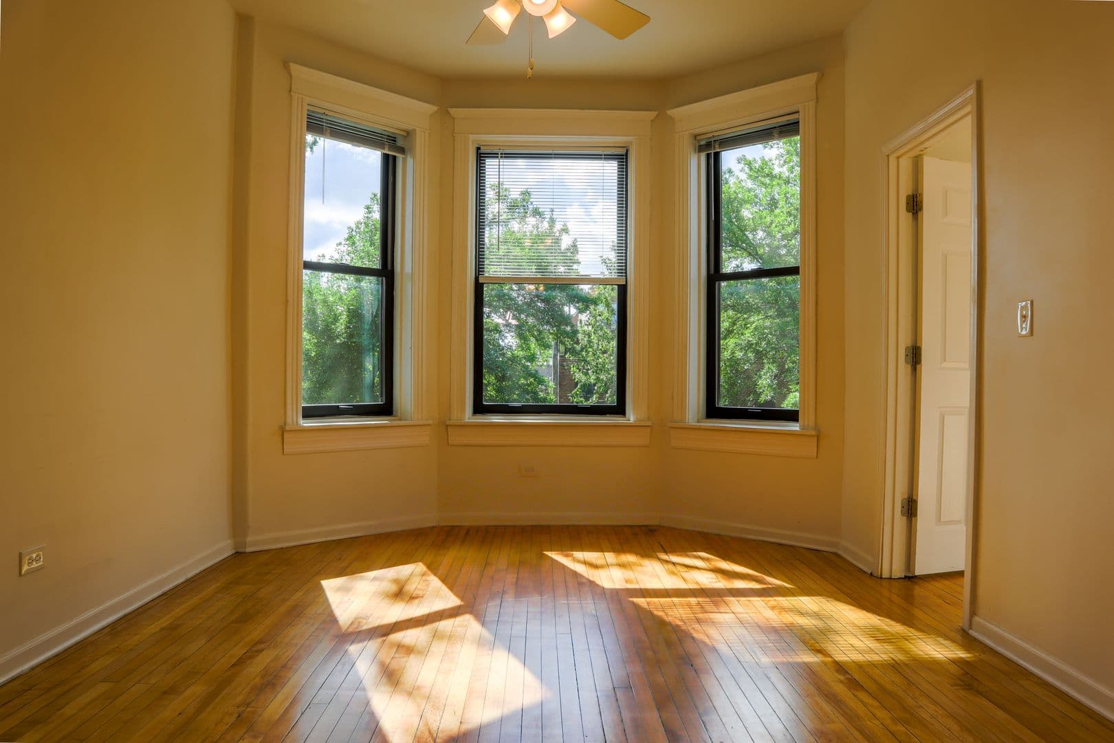 Chicago Apartment: 905 S Claremont