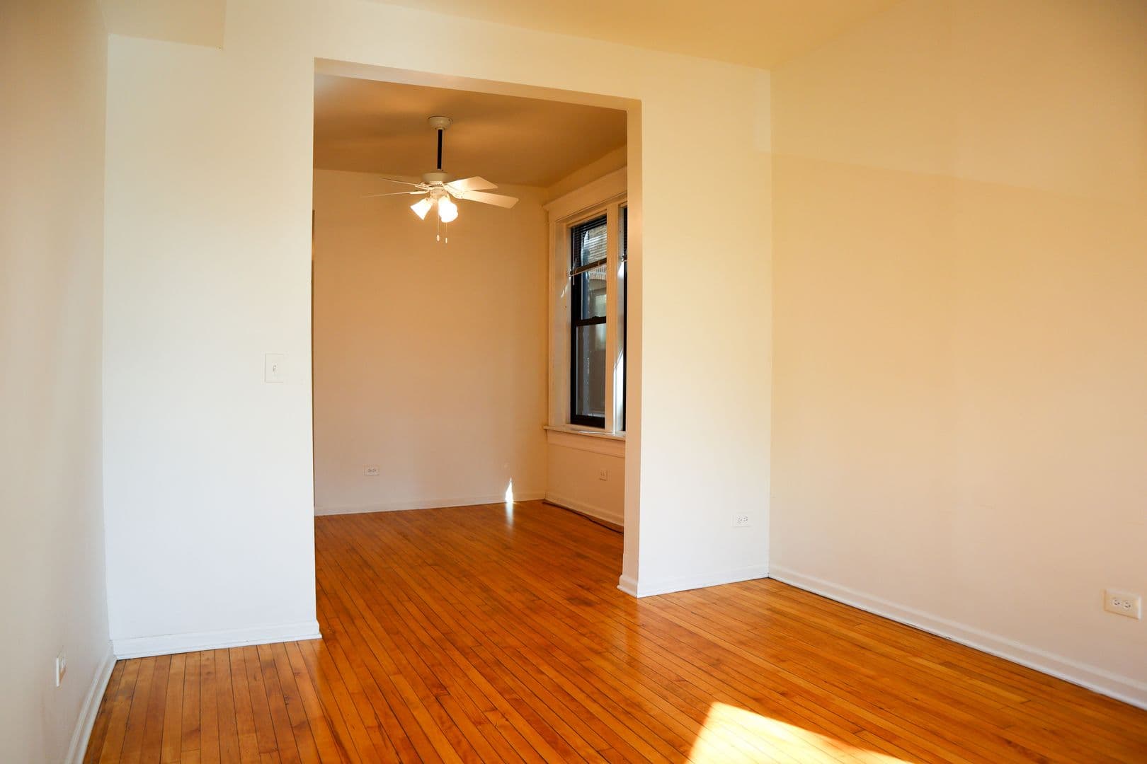 Chicago Apartment: 905 S Claremont