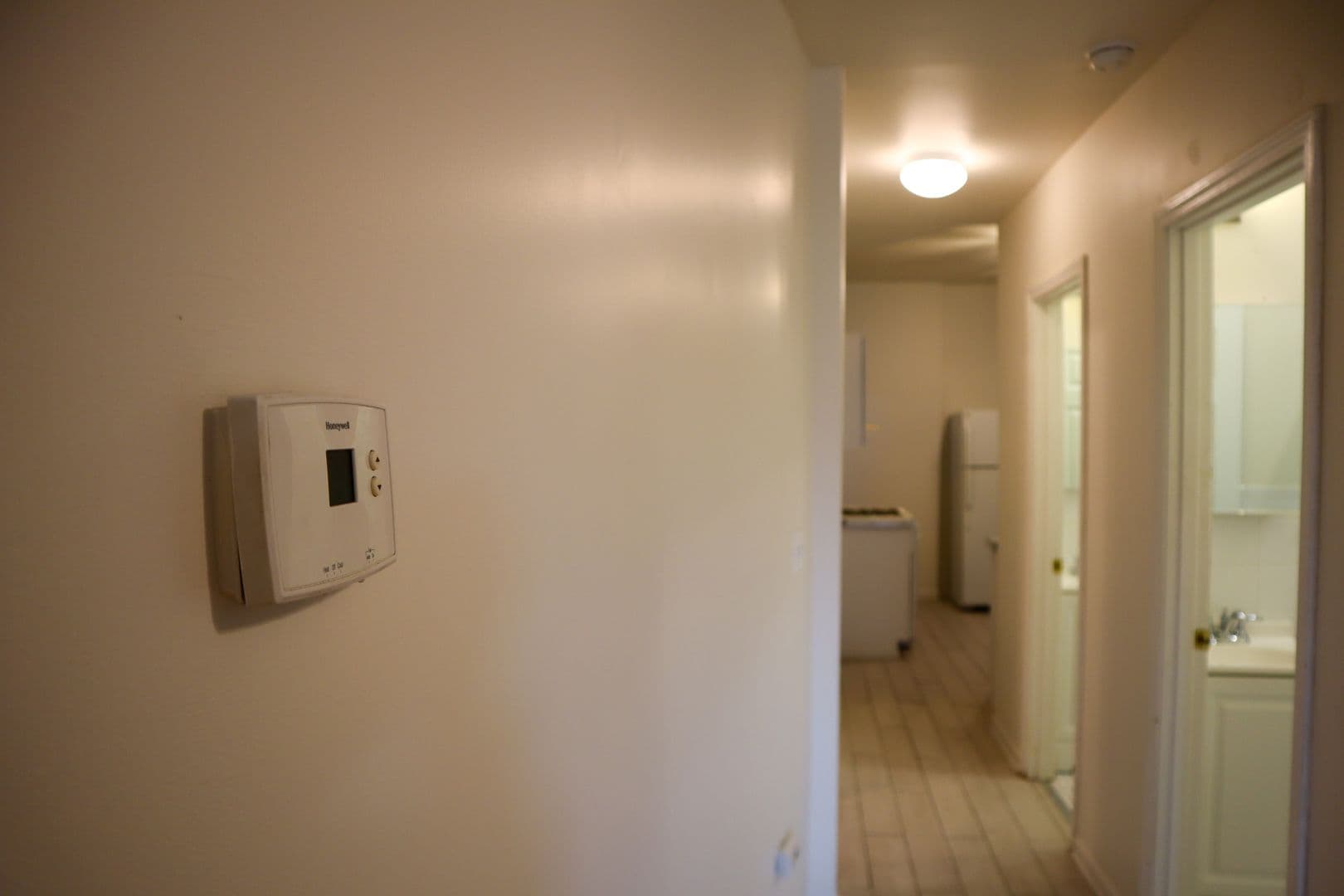 Chicago Apartment: 905 S Claremont