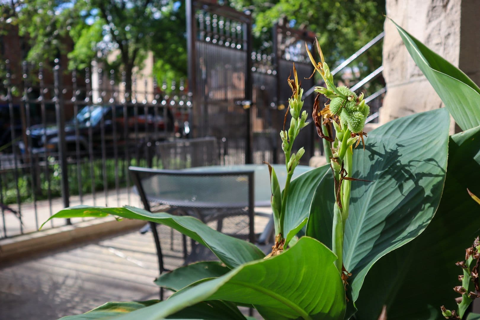 Chicago Apartment: 905 S Claremont