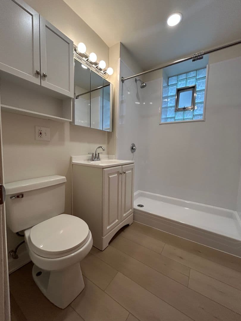 Chicago Apartment: 725 S Loomis Street