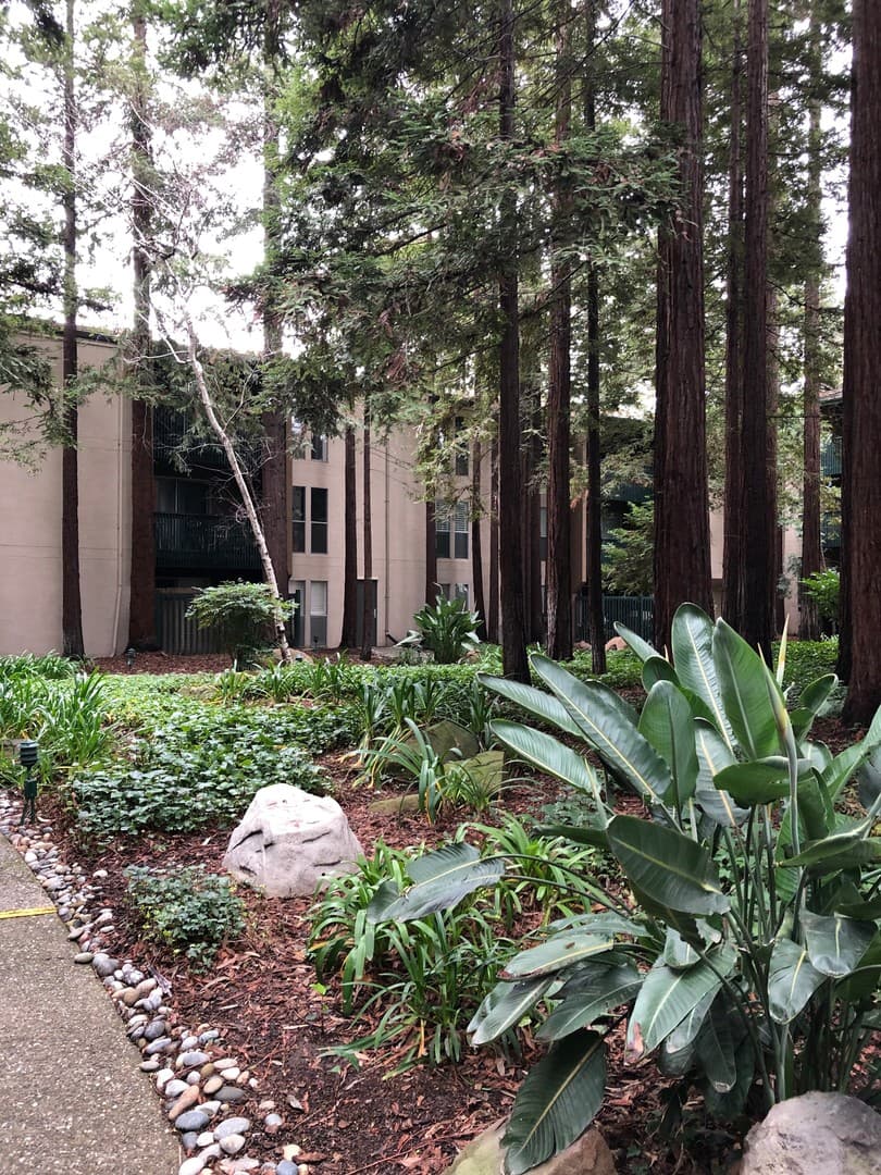 Walnut Creek House: 155 Sharene Lane