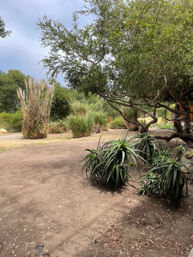 Goleta House: 850 Camino Lindo
