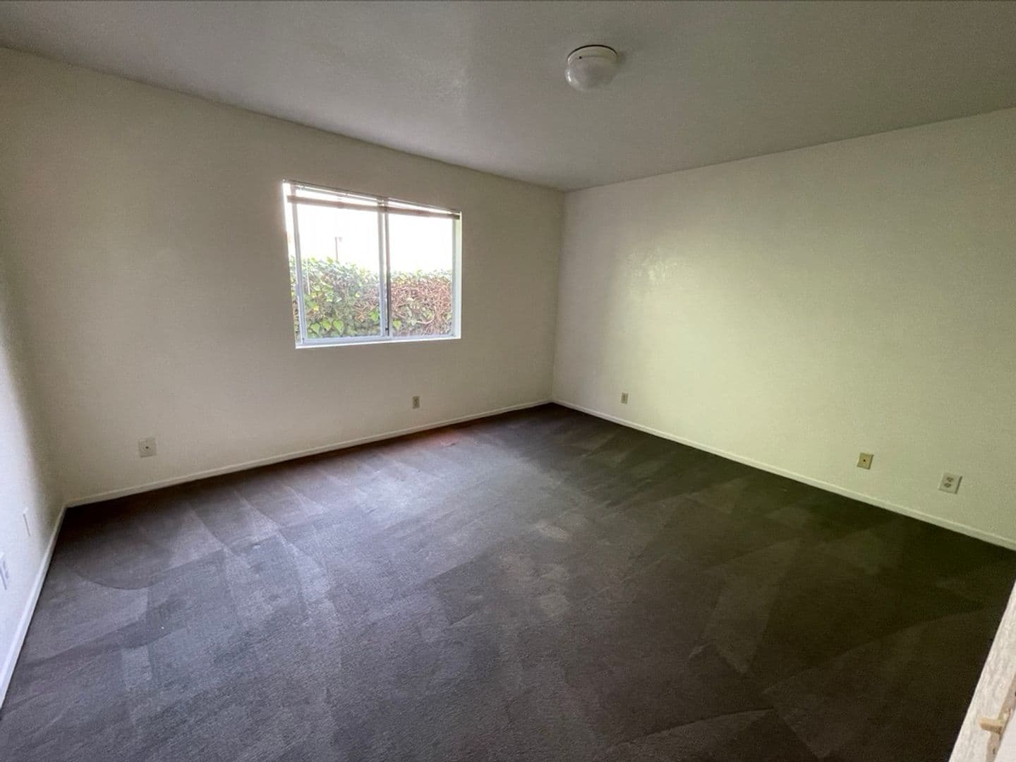 Goleta Apartment: 6595 Sabado Tarde