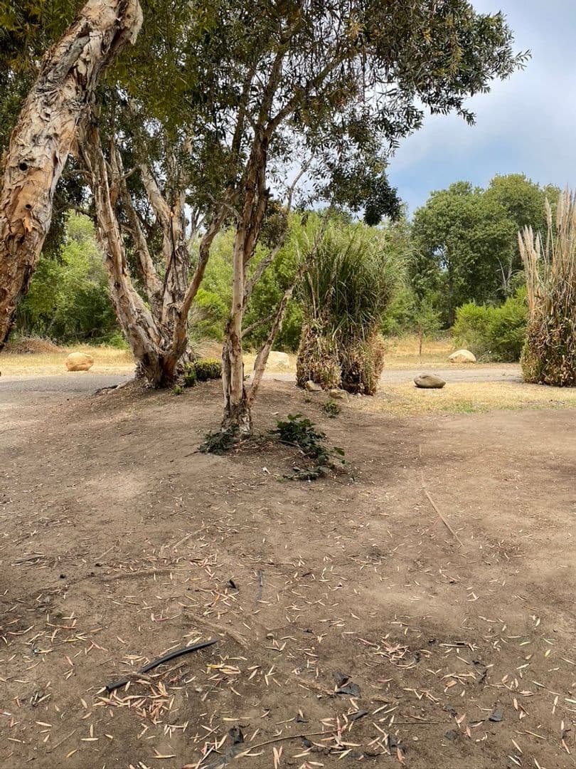 Goleta House: 850 Camino Lindo