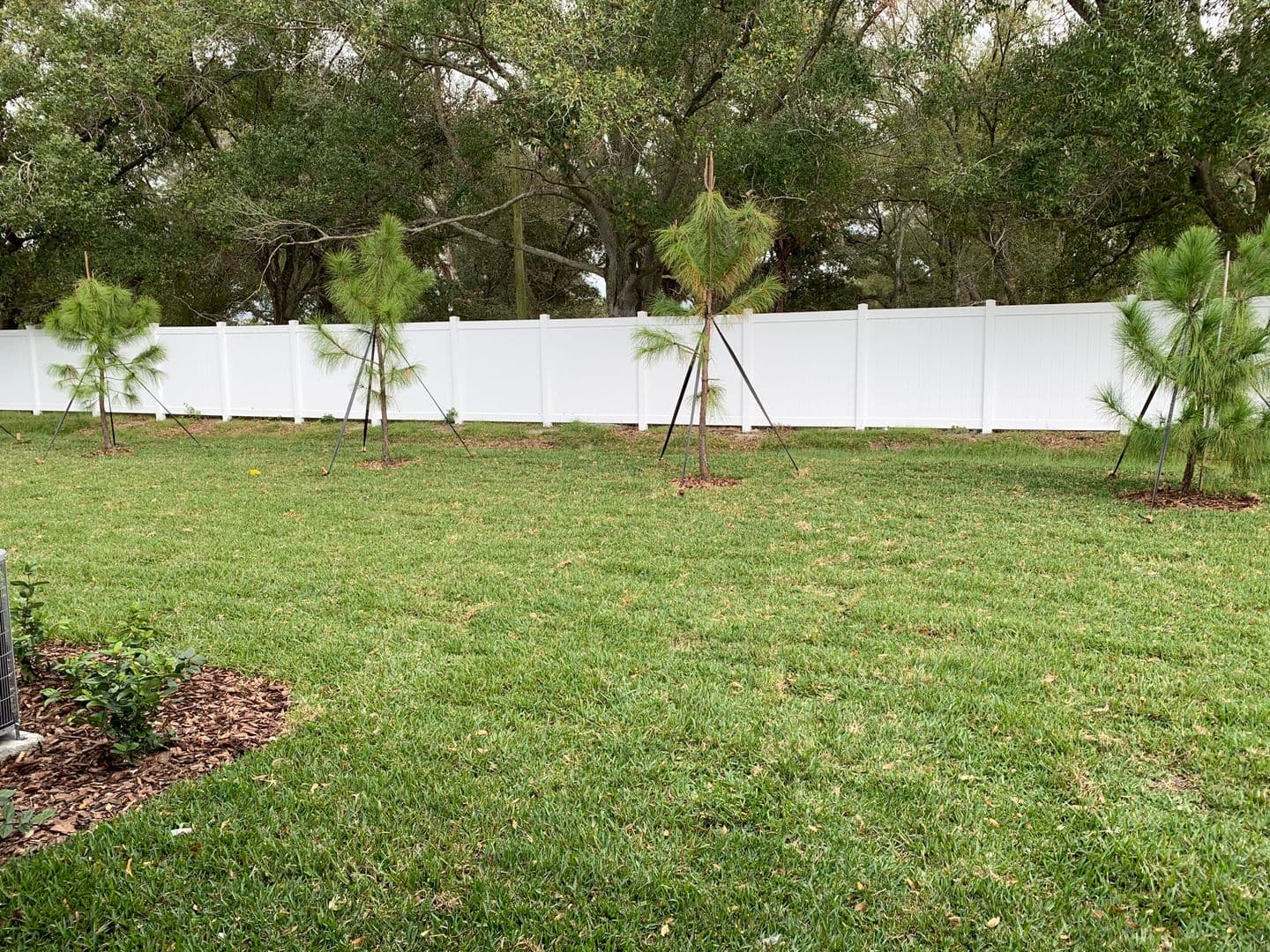 TAMPA House: 3824 Cat Mint ST - 3824 Cat Mint ST