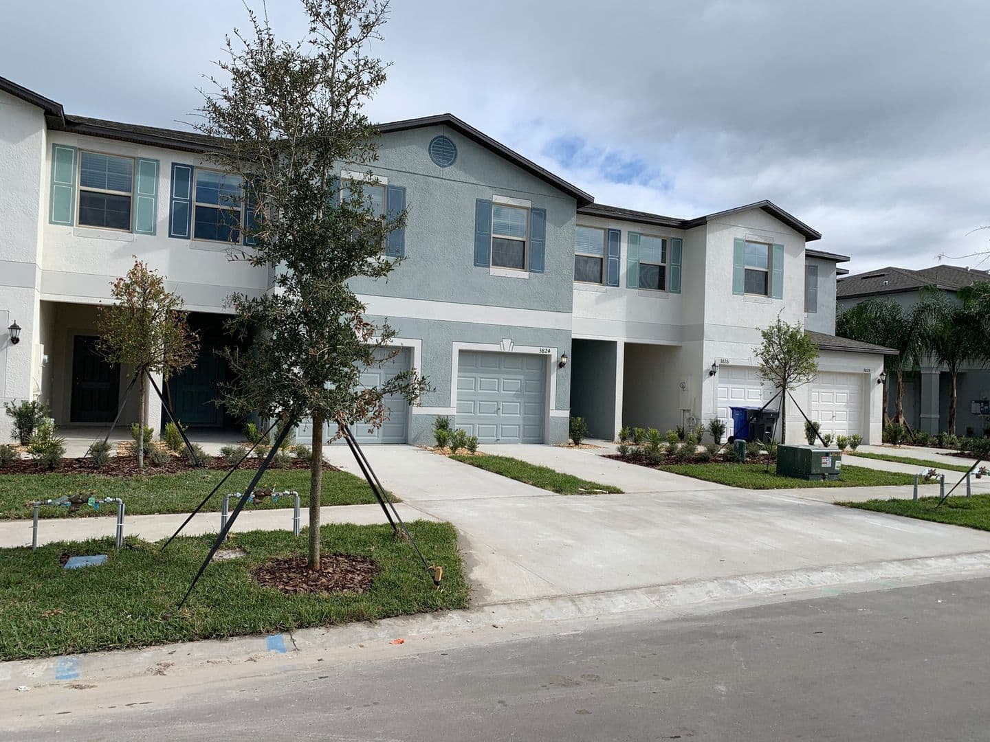 TAMPA House: 3824 Cat Mint ST - 3824 Cat Mint ST
