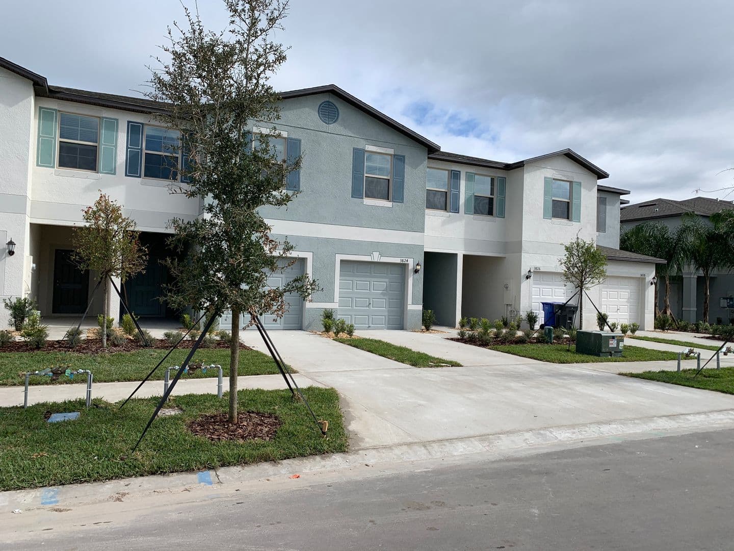 TAMPA House: 3824 Cat Mint ST - 3824 Cat Mint ST