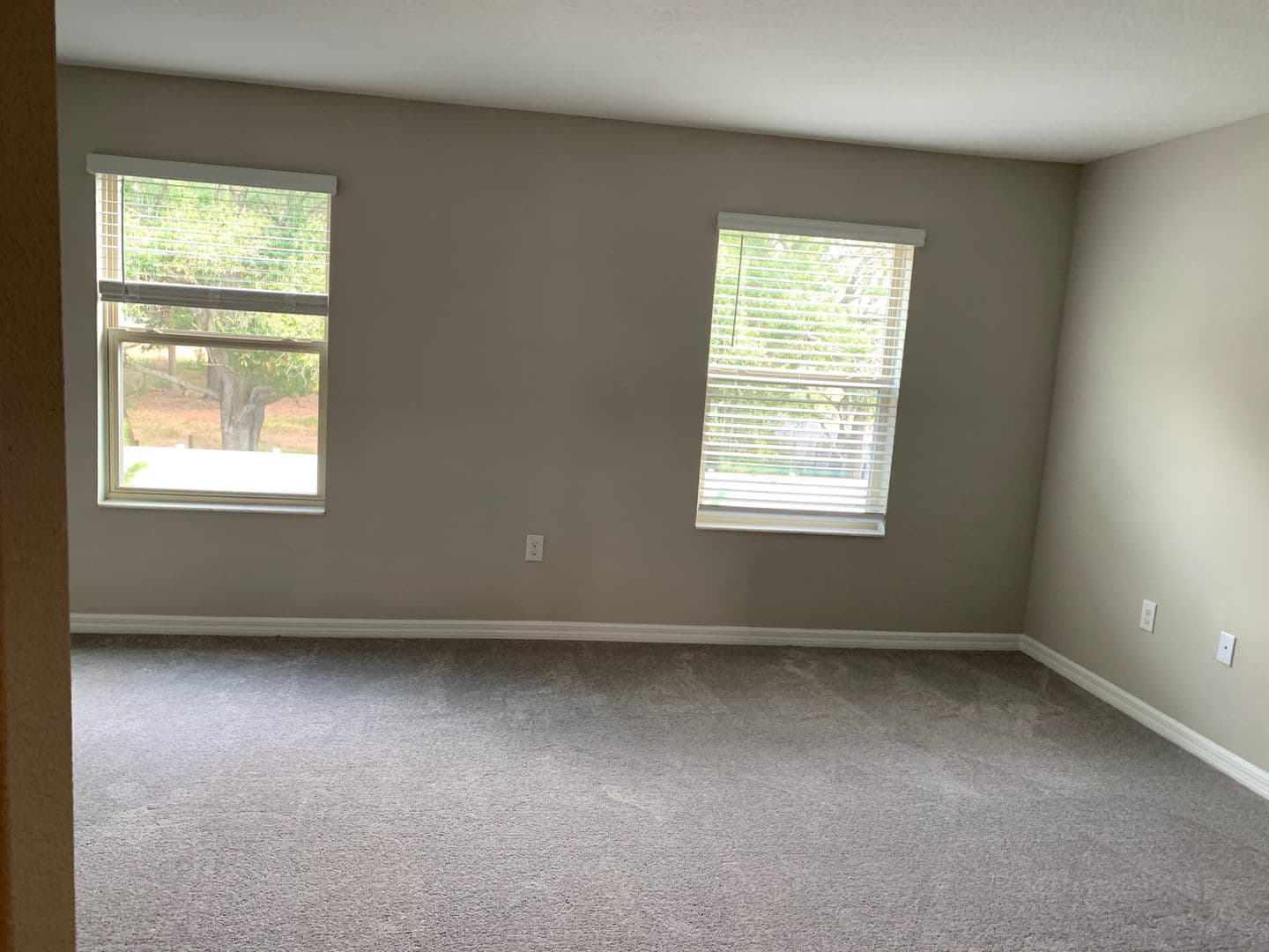 TAMPA House: 3824 Cat Mint ST - 3824 Cat Mint ST