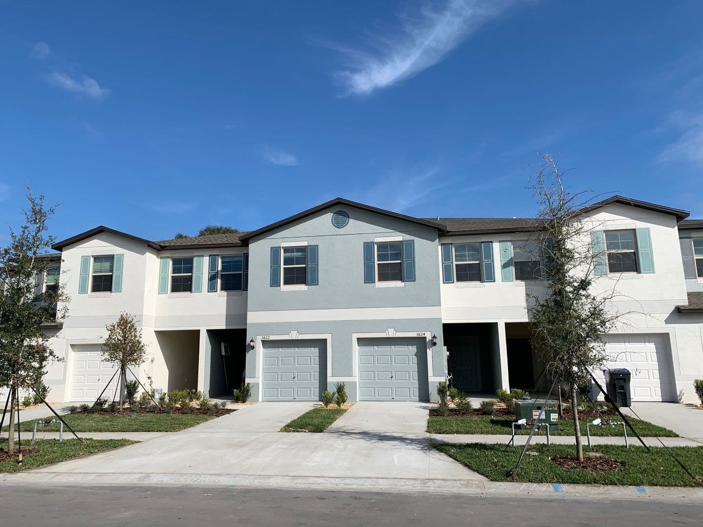 TAMPA House: 3824 Cat Mint ST - 3824 Cat Mint ST
