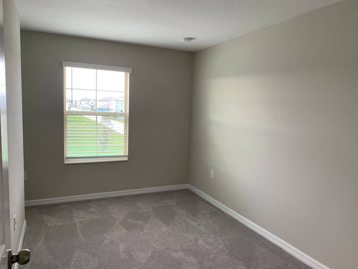 TAMPA House: 3824 Cat Mint ST - 3824 Cat Mint ST