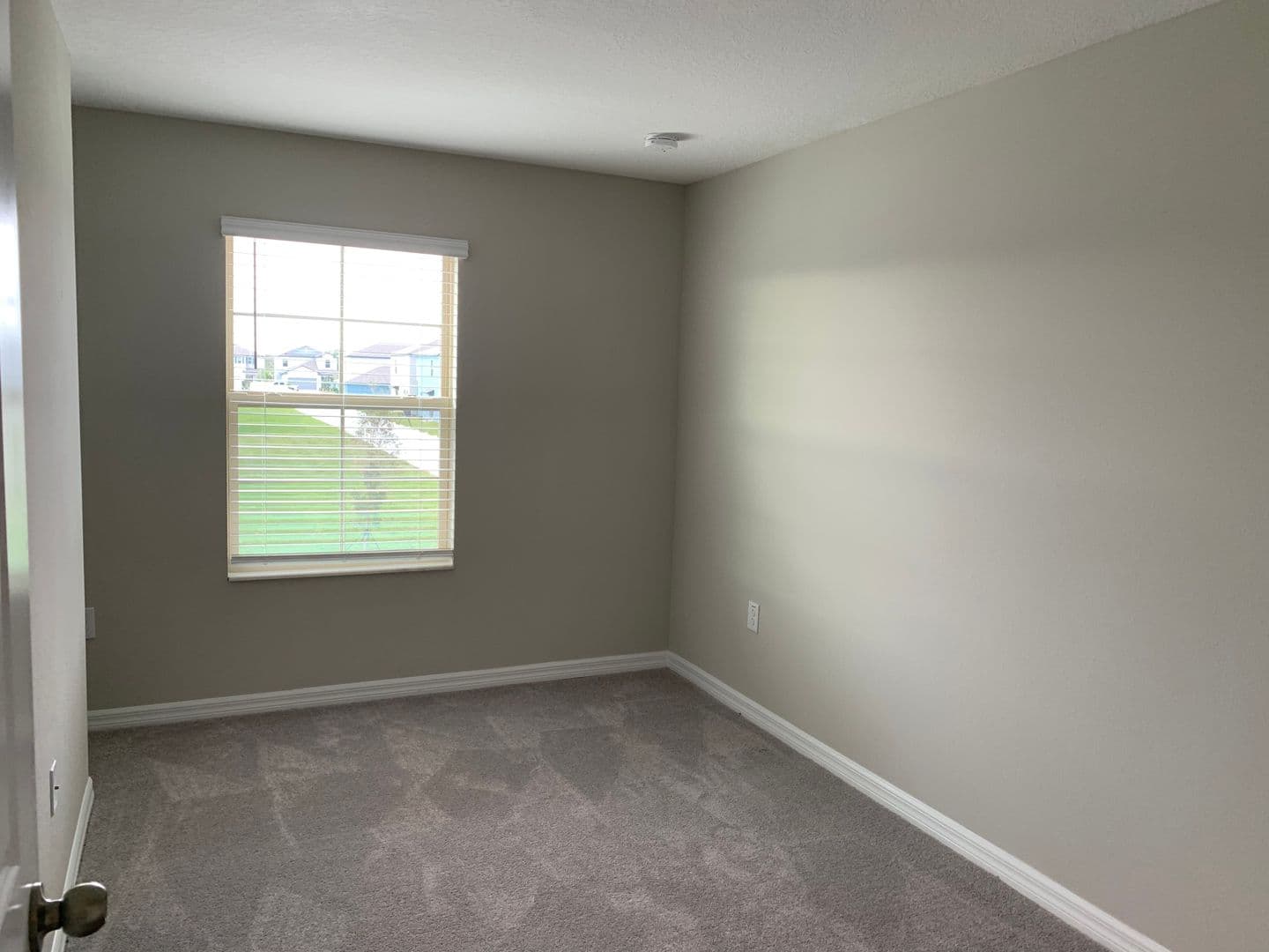 TAMPA House: 3824 Cat Mint ST - 3824 Cat Mint ST