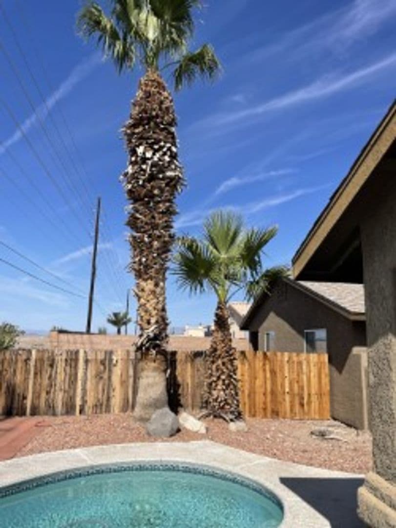 Lake Havasu City Multiplex: 1171 Regency Drive