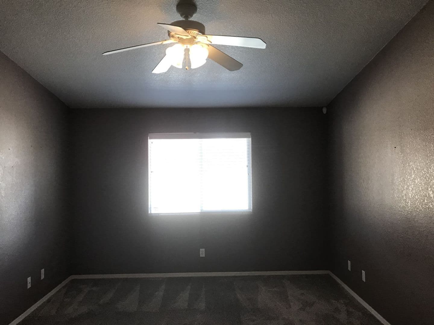 Lake Havasu House: 2315 Flagship Drive