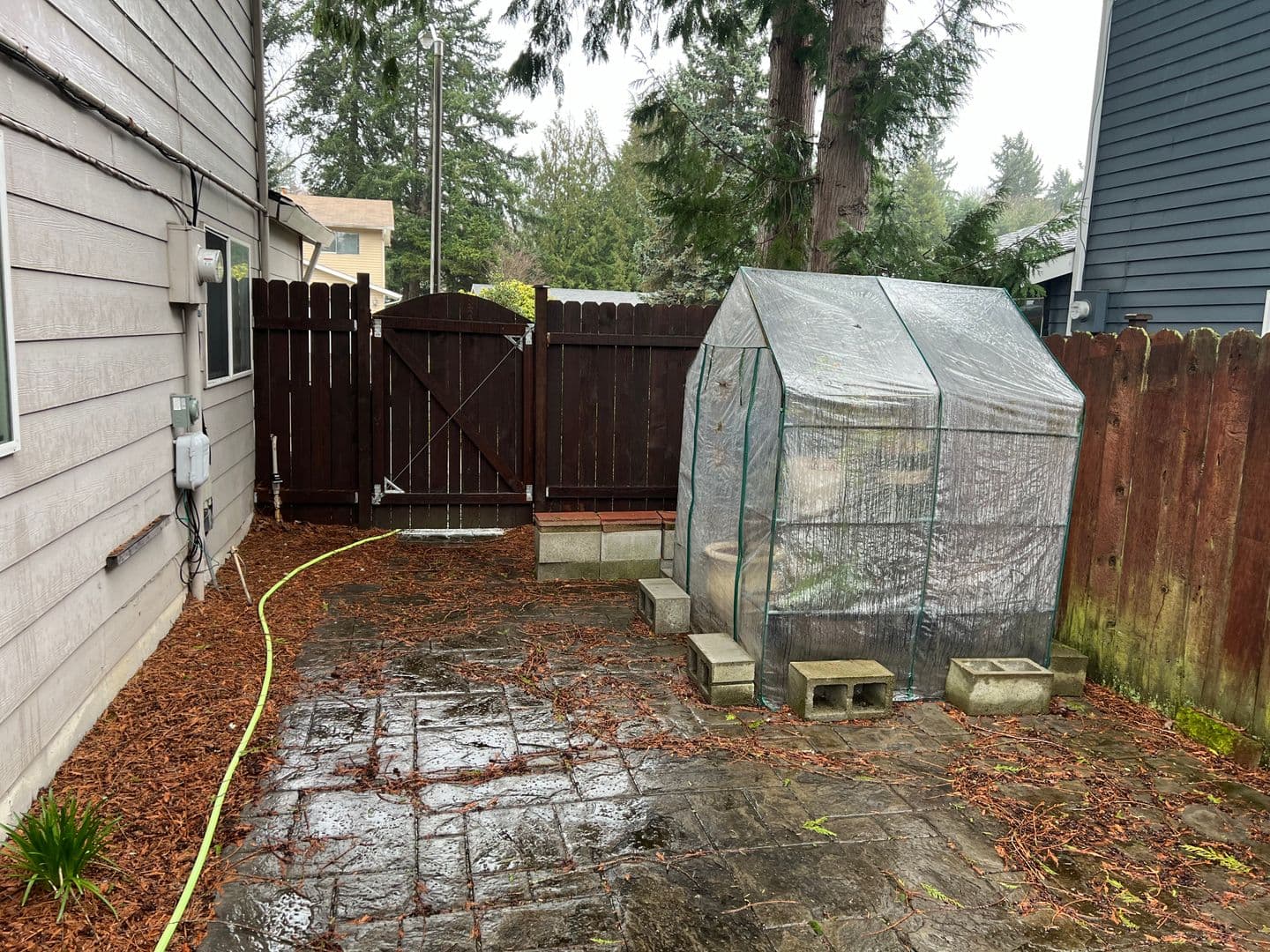 Renton House: 19521 145th Ave SE