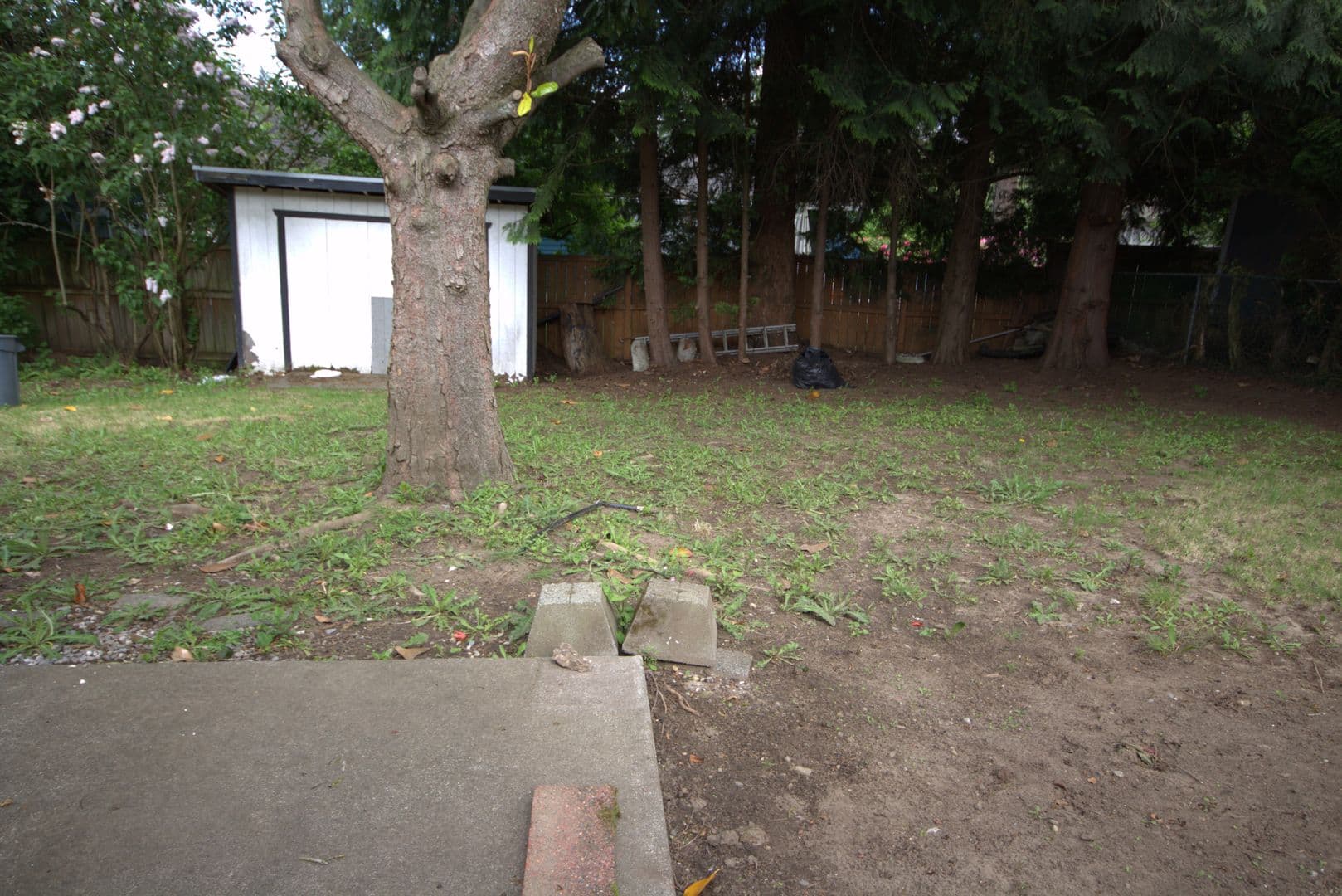 Burien Apartment: 15822 5th Pl S