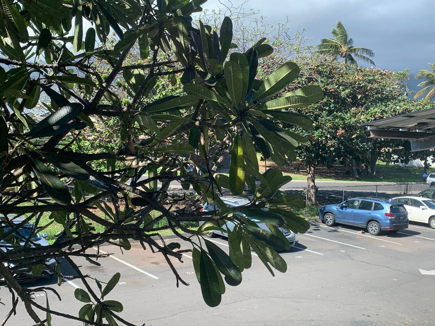 Kahului Condo: 111 Kahului Beach Road