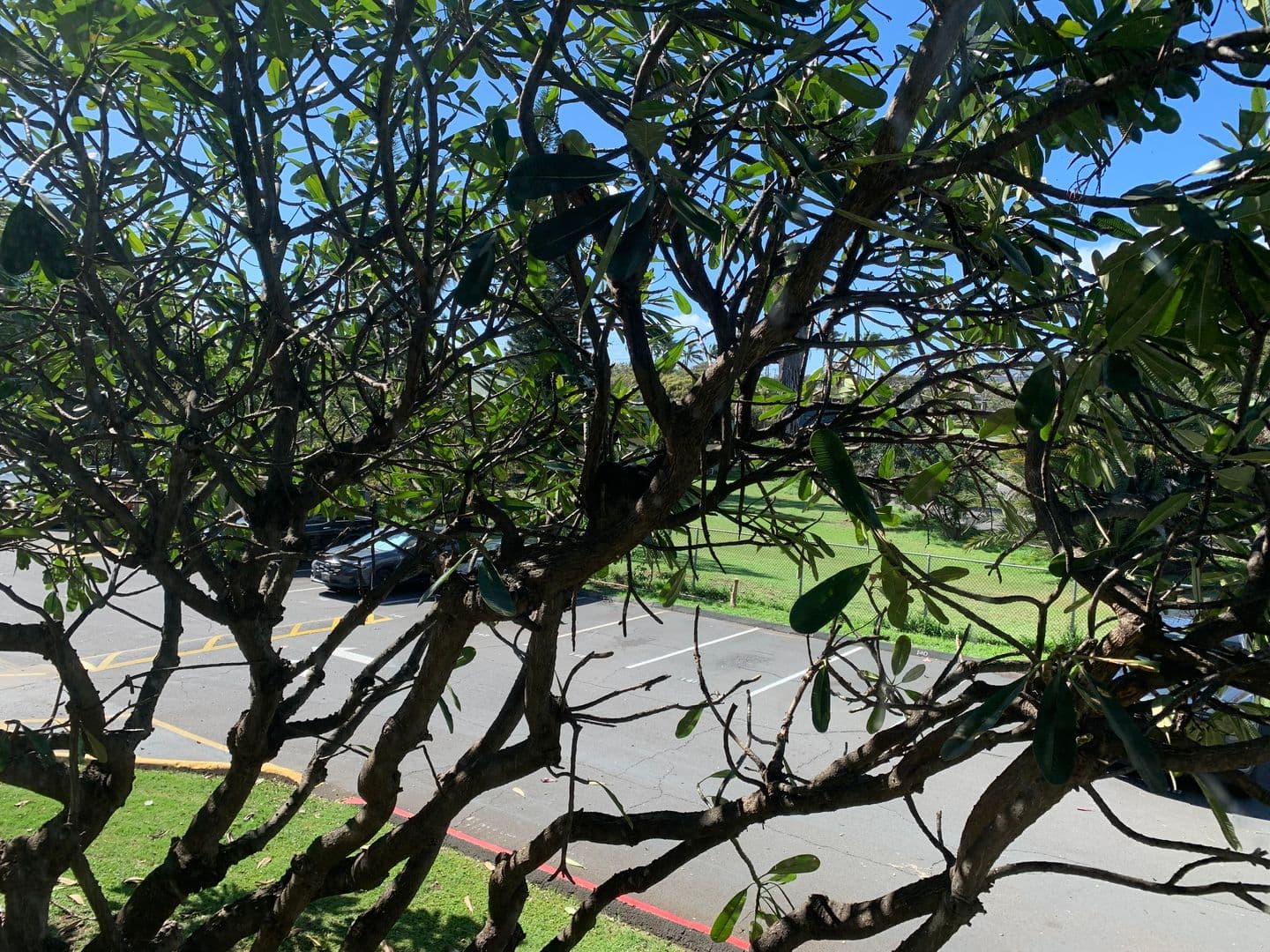 Kahului Condo: 111 Kahului Beach Road
