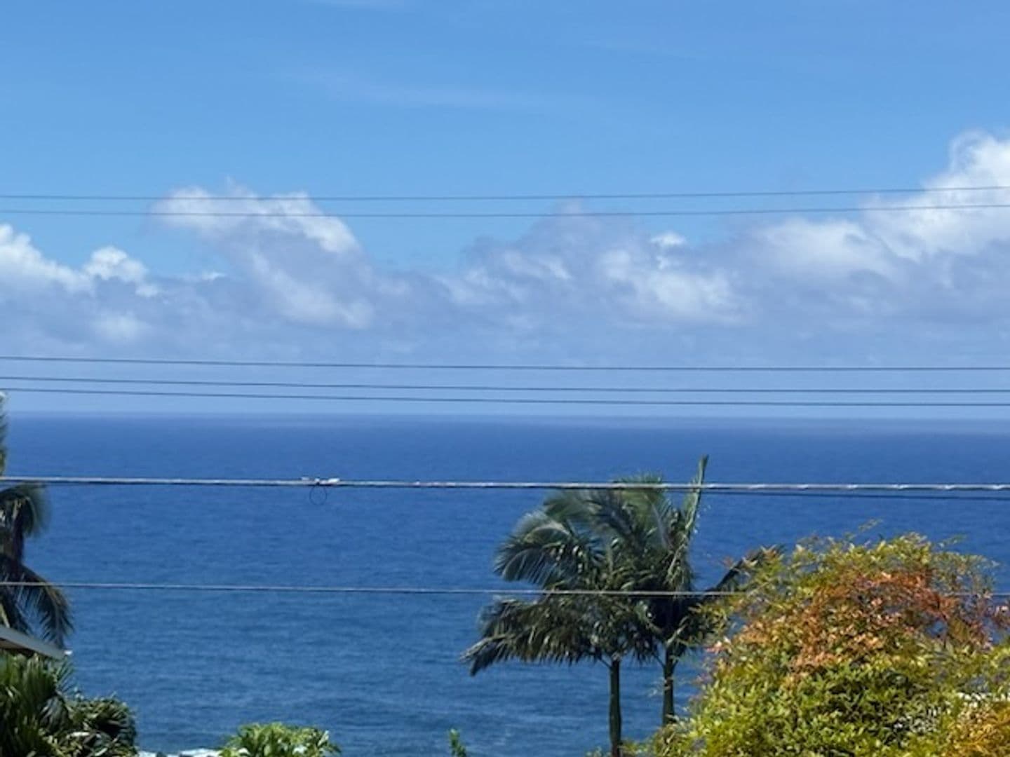 Laupahoehoe House: 36-2347 Pualaea Place