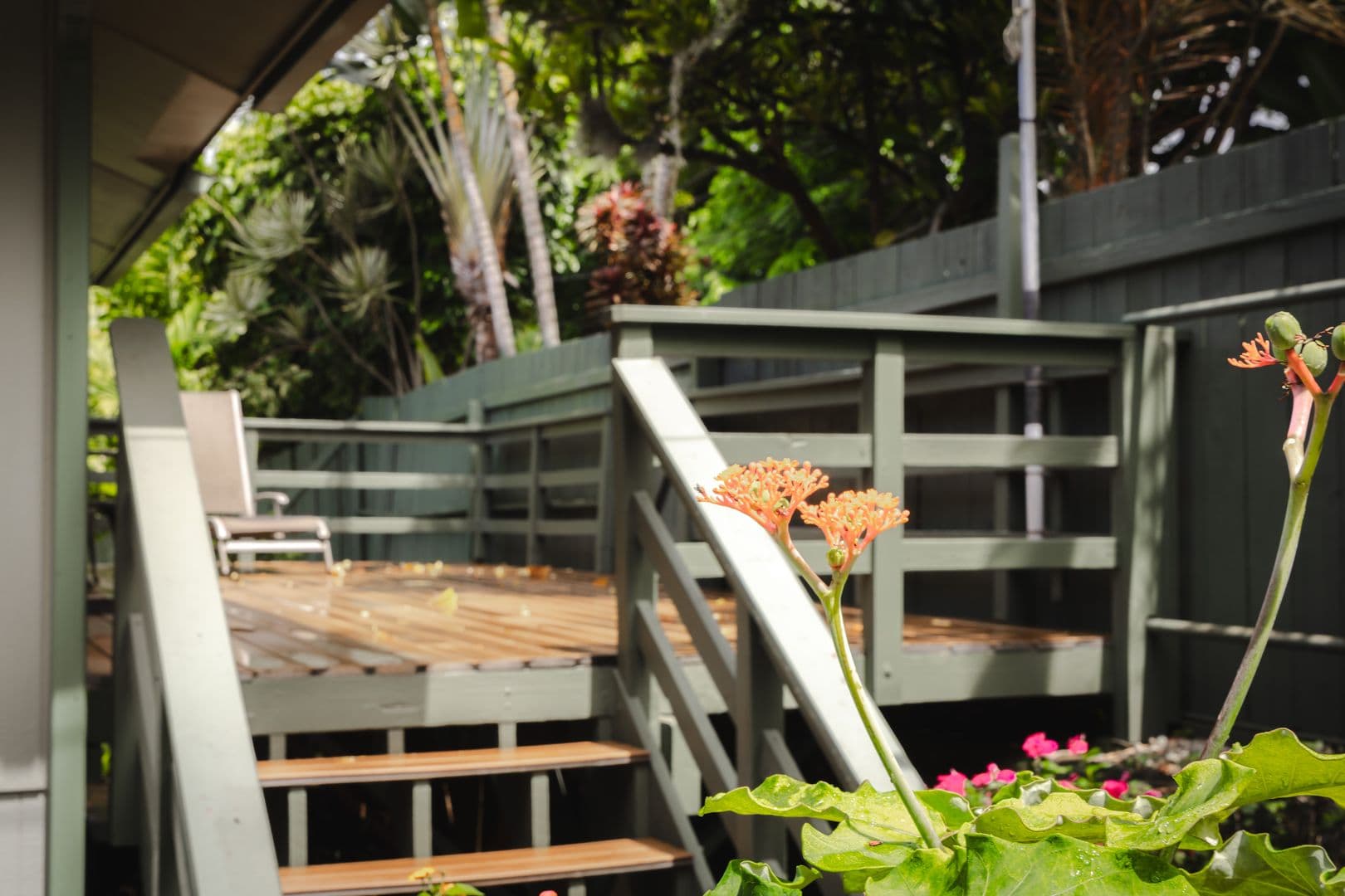 Haleiwa House: 59-605 Ke Iki Rd