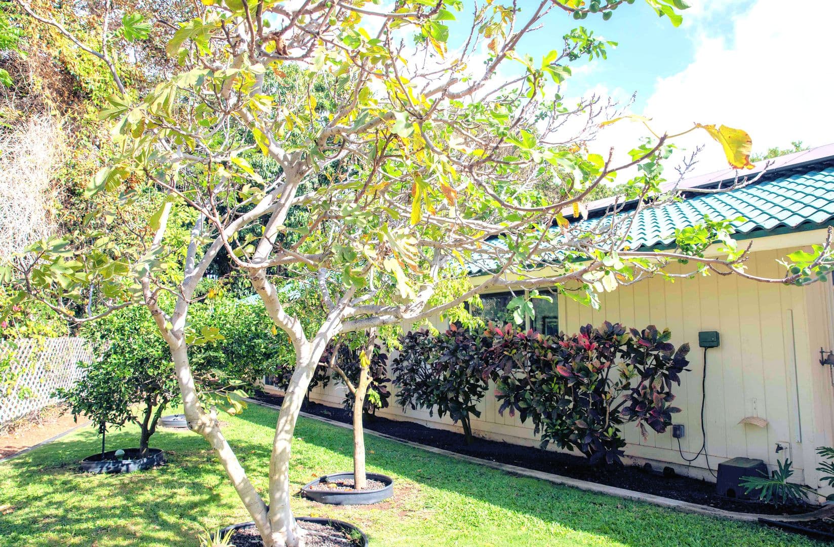 Kihei House: 163 Mehani Circle