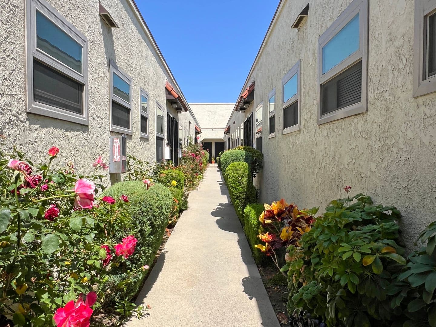 Long Beach Apartment: 1360 Euclid Ave