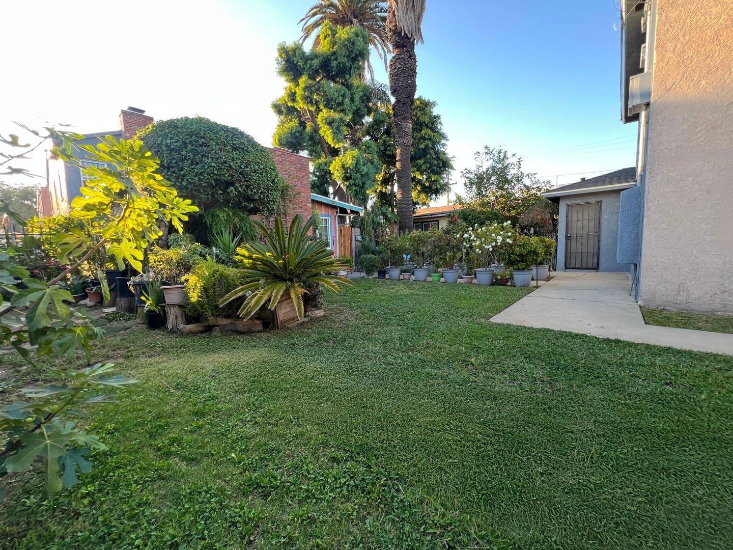 Long Beach Apartment: 1325 Cedar Ave