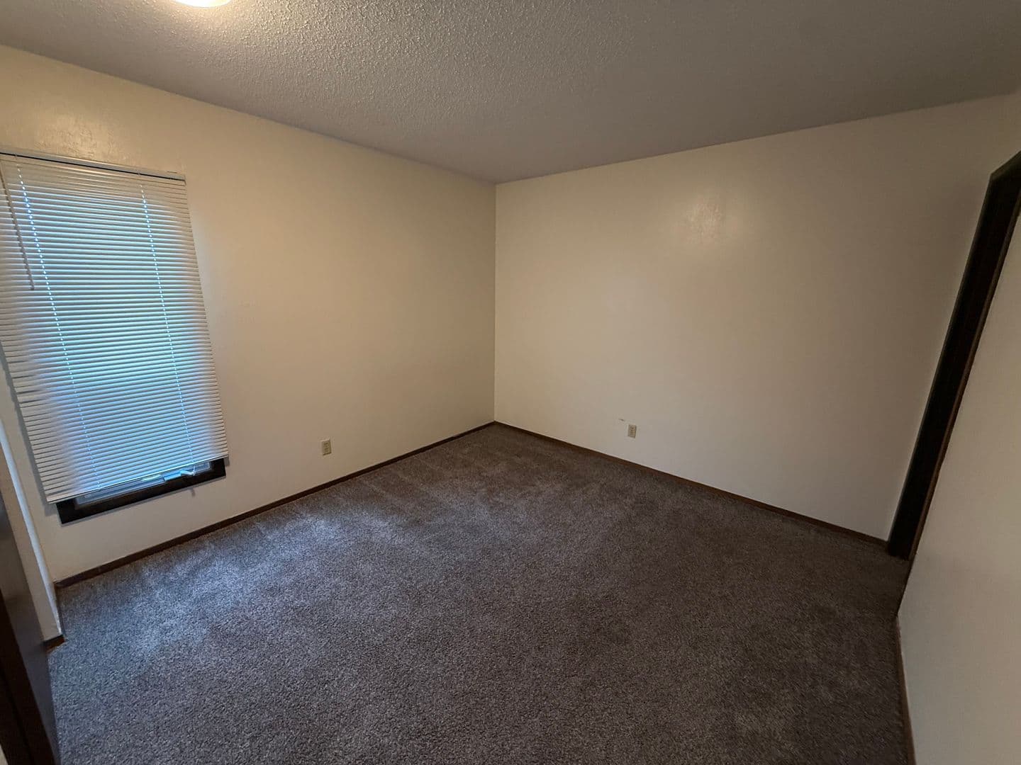 Dickinson Apartment: 223 13th Avenue W