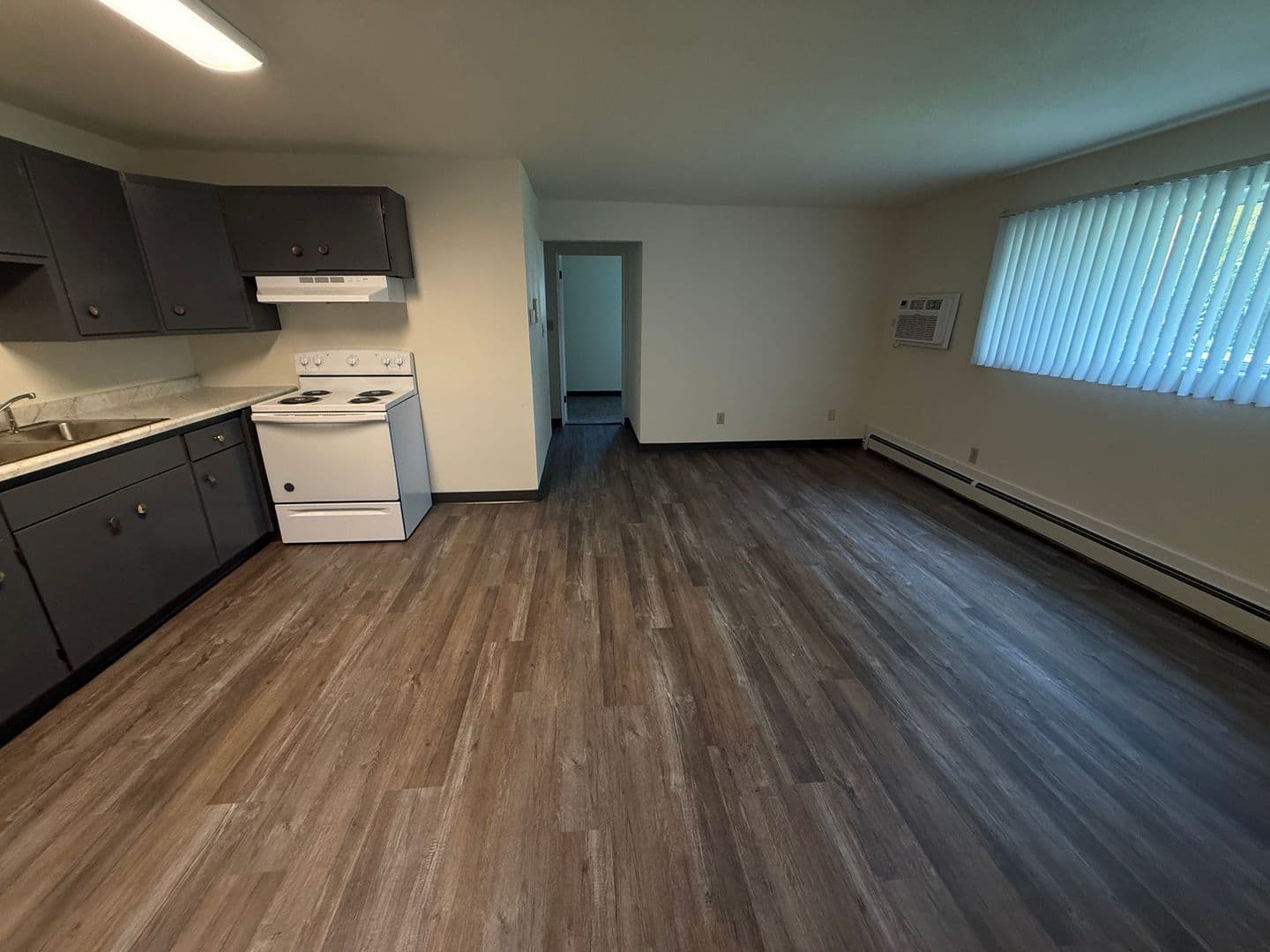 Dickinson Apartment: 138 13th Avenue W