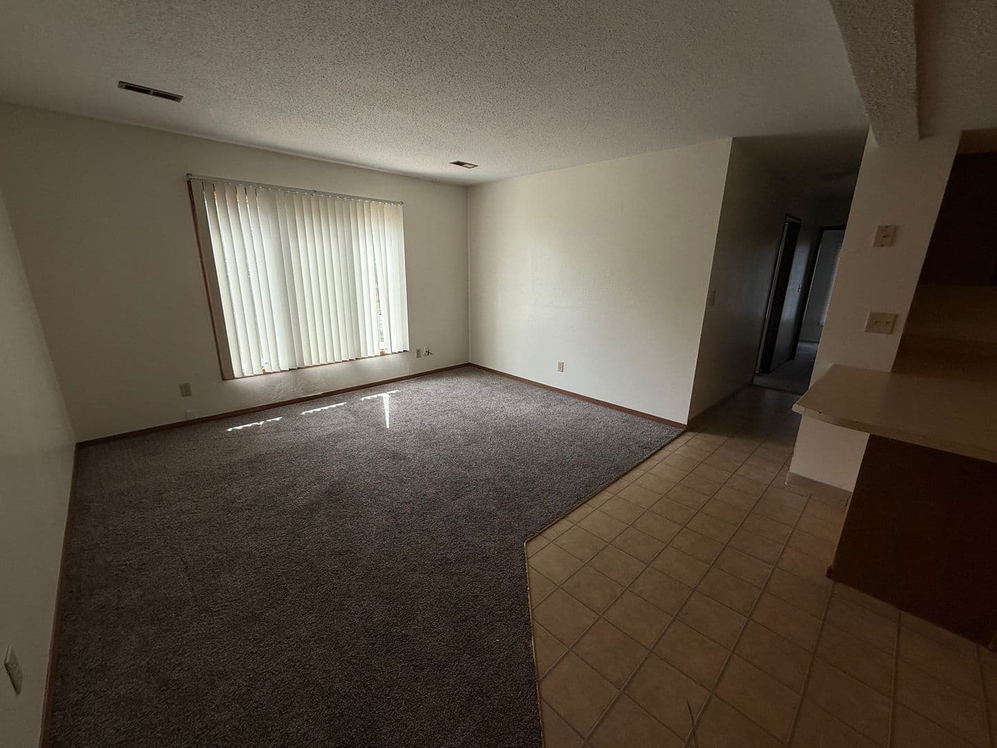Dickinson Apartment: 223 13th Avenue W