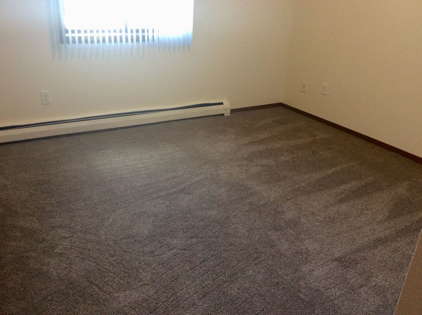 Dickinson Apartment: 177 10th Avenue East