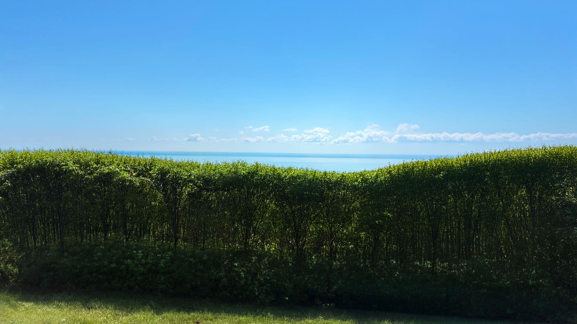 Duluth Apartment: 502 N. Oak Bend Dr