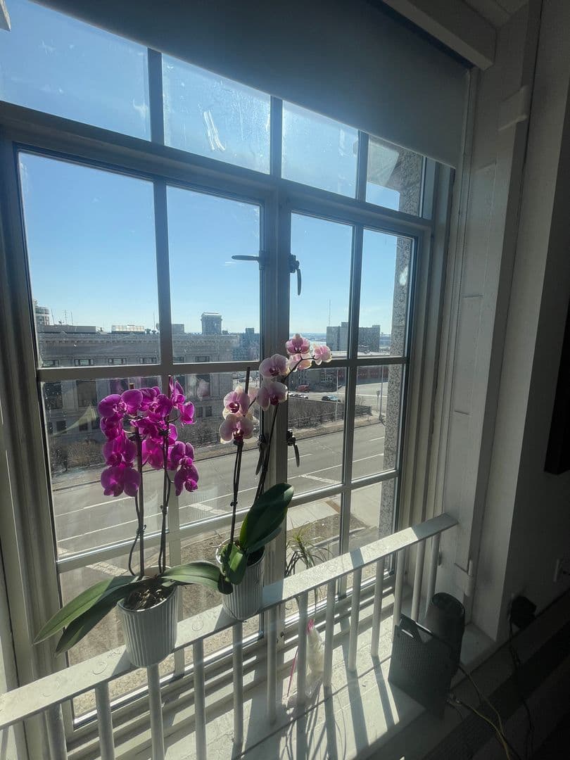 Duluth Apartment: 521 W 2nd Street
