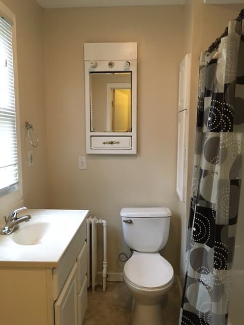 Duluth House: 923 E 8th Street