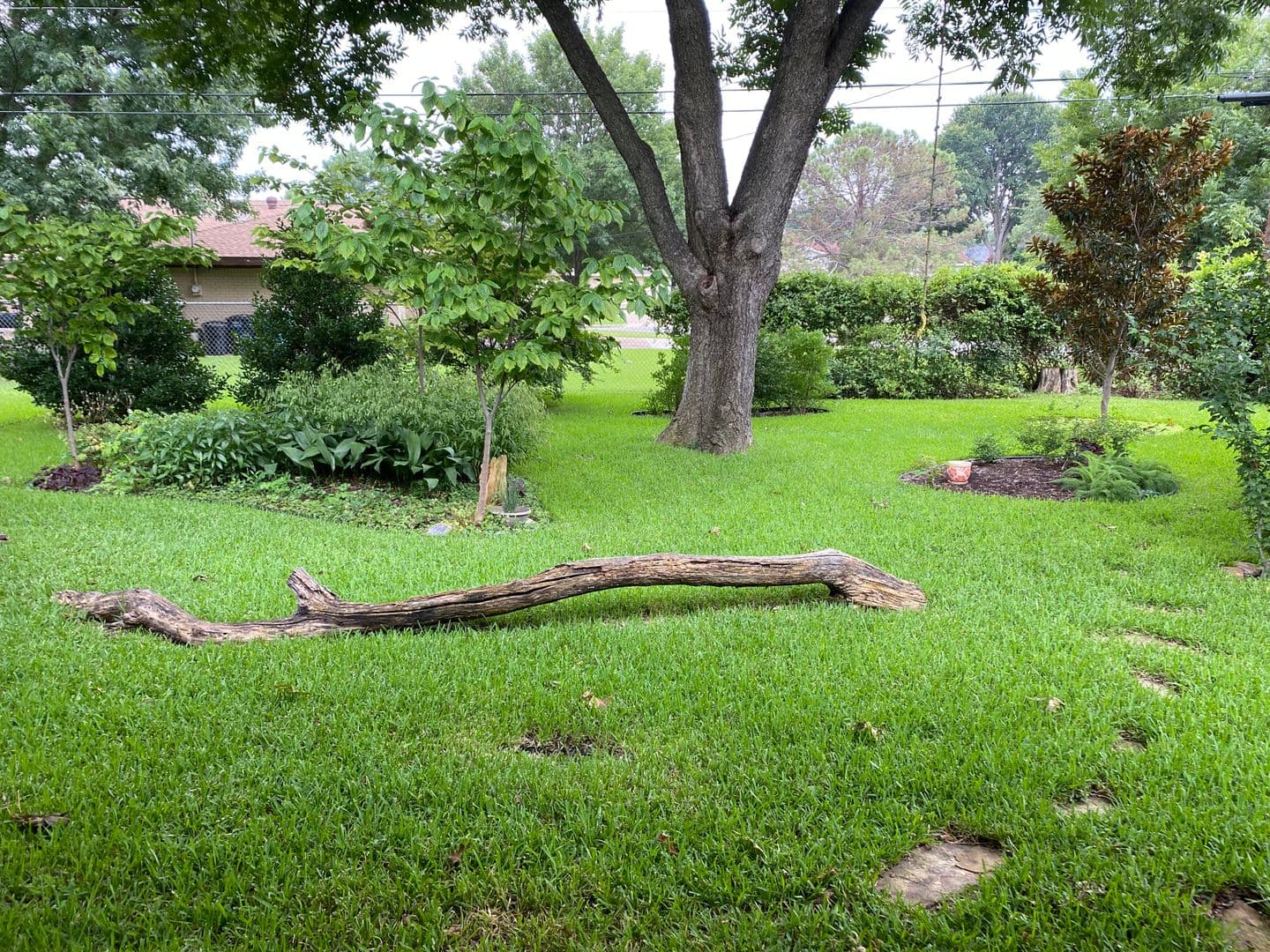 Fort Worth House: 3621 Winifred Dr