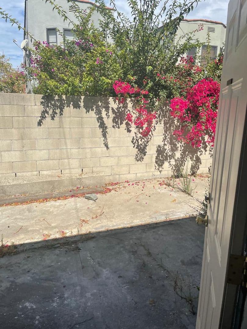 Los Angeles Apartment: 233 N Catalina St