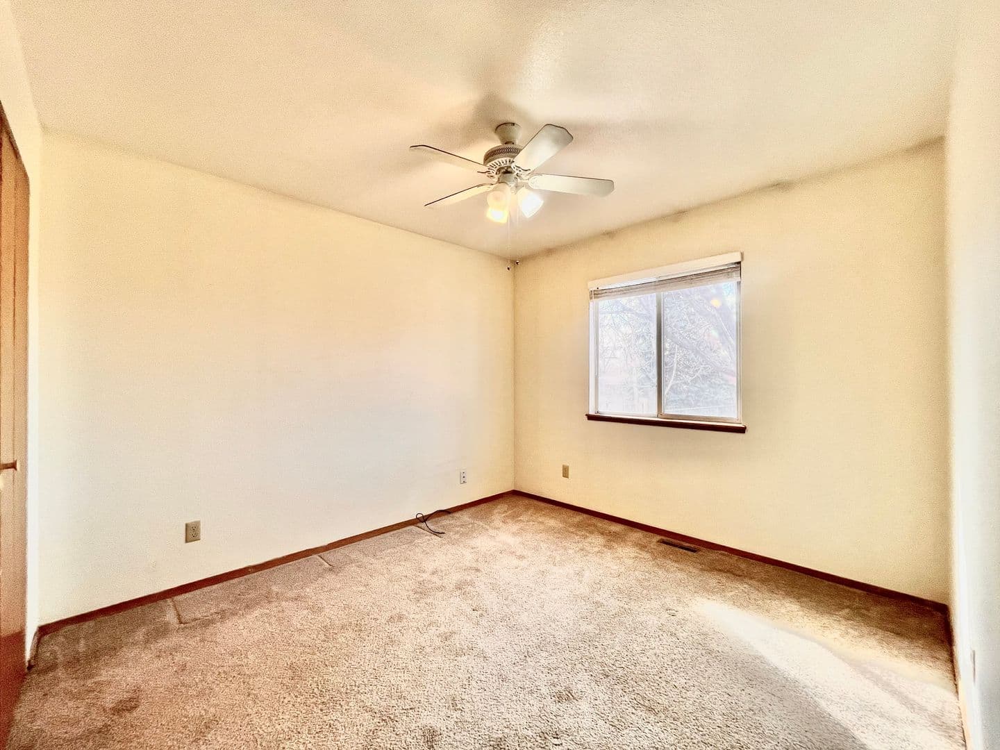 Windsor House: 914 Canyon Court
