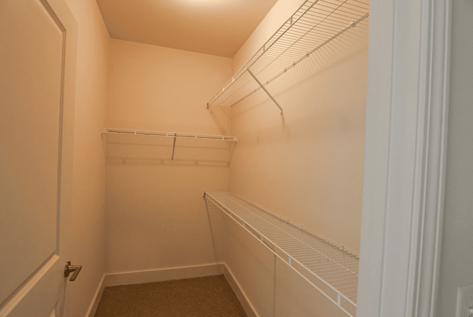 Memphis Apartment: 9 East Carolina Avenue