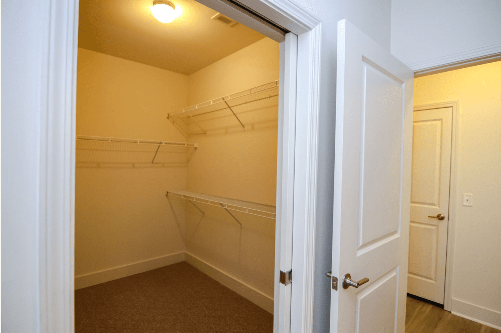 Memphis Apartment: 9 East Carolina Avenue